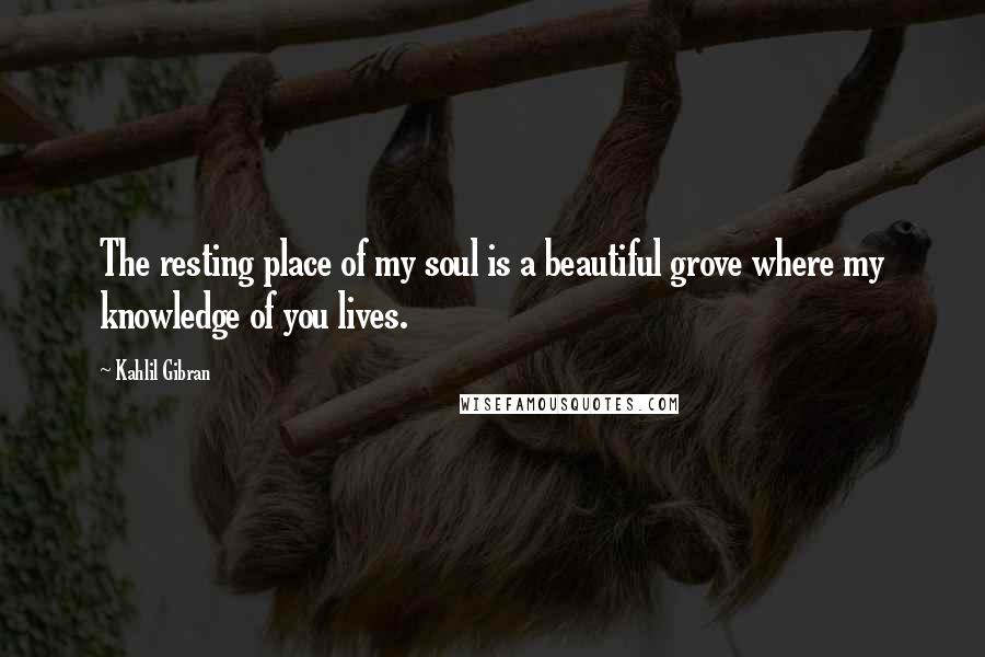 Kahlil Gibran Quotes: The resting place of my soul is a beautiful grove where my knowledge of you lives.