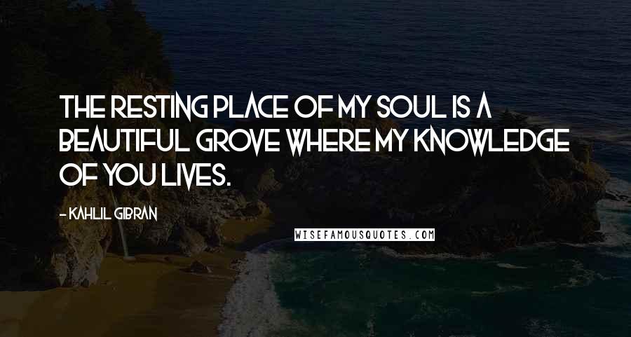 Kahlil Gibran Quotes: The resting place of my soul is a beautiful grove where my knowledge of you lives.