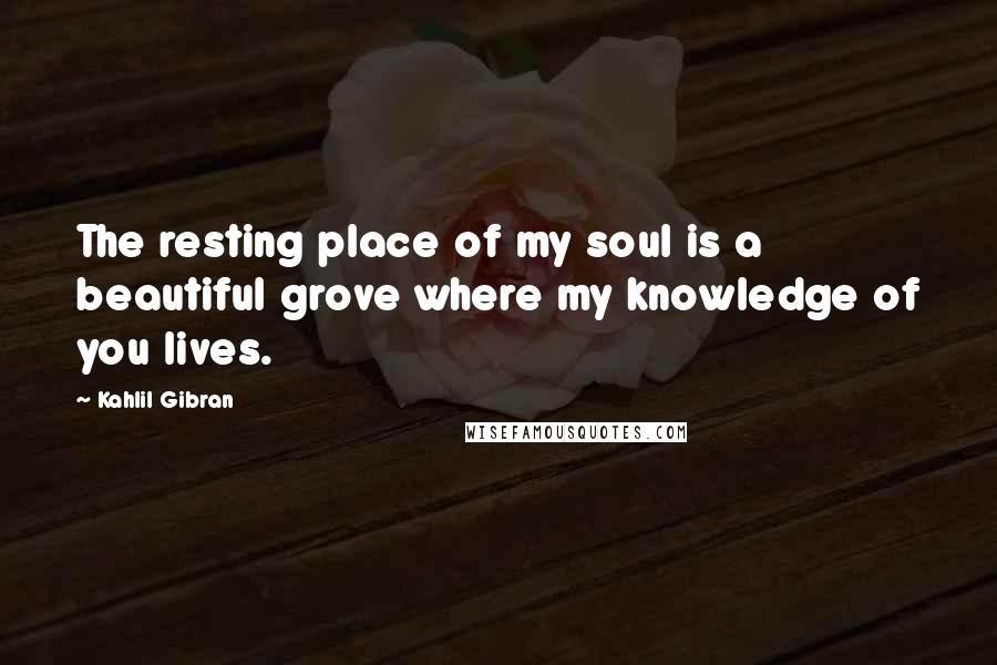 Kahlil Gibran Quotes: The resting place of my soul is a beautiful grove where my knowledge of you lives.