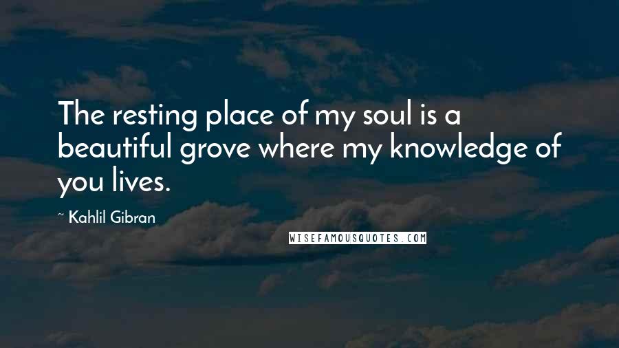 Kahlil Gibran Quotes: The resting place of my soul is a beautiful grove where my knowledge of you lives.