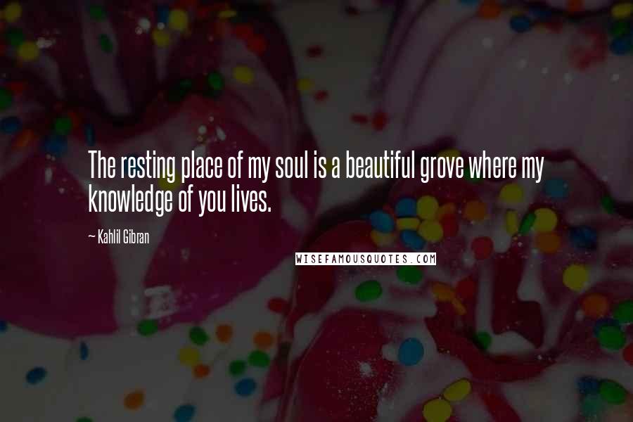 Kahlil Gibran Quotes: The resting place of my soul is a beautiful grove where my knowledge of you lives.