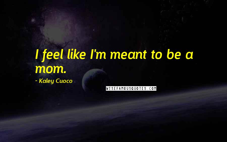 Kaley Cuoco Quotes: I feel like I'm meant to be a mom.