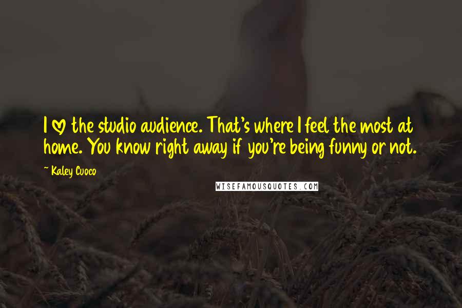 Kaley Cuoco Quotes: I love the studio audience. That's where I feel the most at home. You know right away if you're being funny or not.