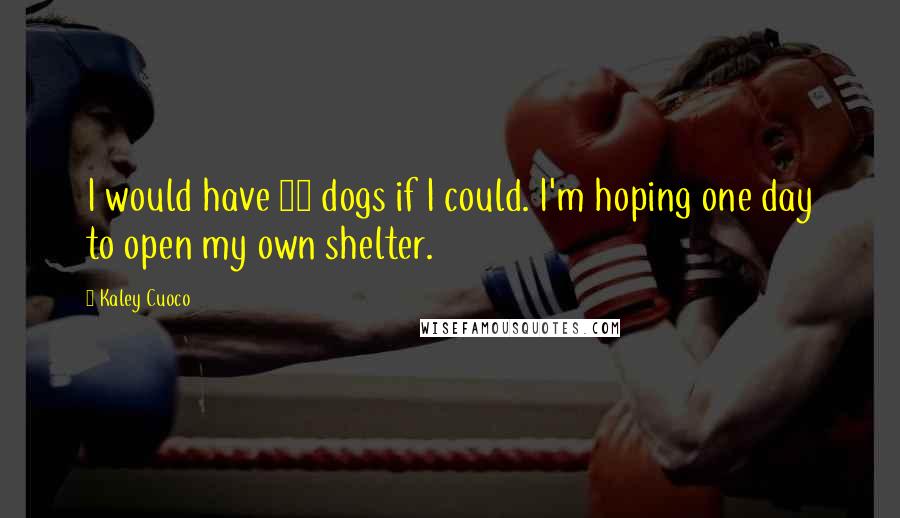 Kaley Cuoco Quotes: I would have 55 dogs if I could. I'm hoping one day to open my own shelter.