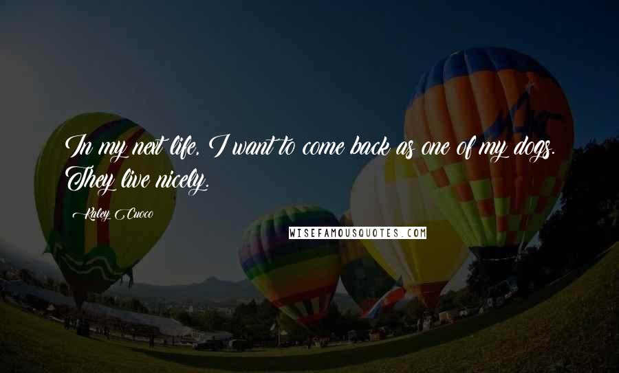 Kaley Cuoco Quotes: In my next life, I want to come back as one of my dogs. They live nicely.