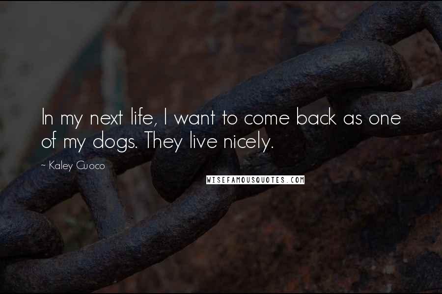 Kaley Cuoco Quotes: In my next life, I want to come back as one of my dogs. They live nicely.