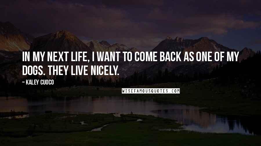 Kaley Cuoco Quotes: In my next life, I want to come back as one of my dogs. They live nicely.