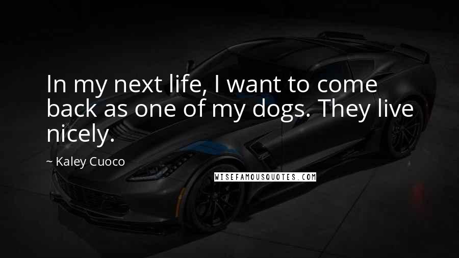 Kaley Cuoco Quotes: In my next life, I want to come back as one of my dogs. They live nicely.