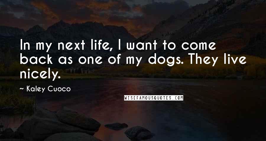Kaley Cuoco Quotes: In my next life, I want to come back as one of my dogs. They live nicely.