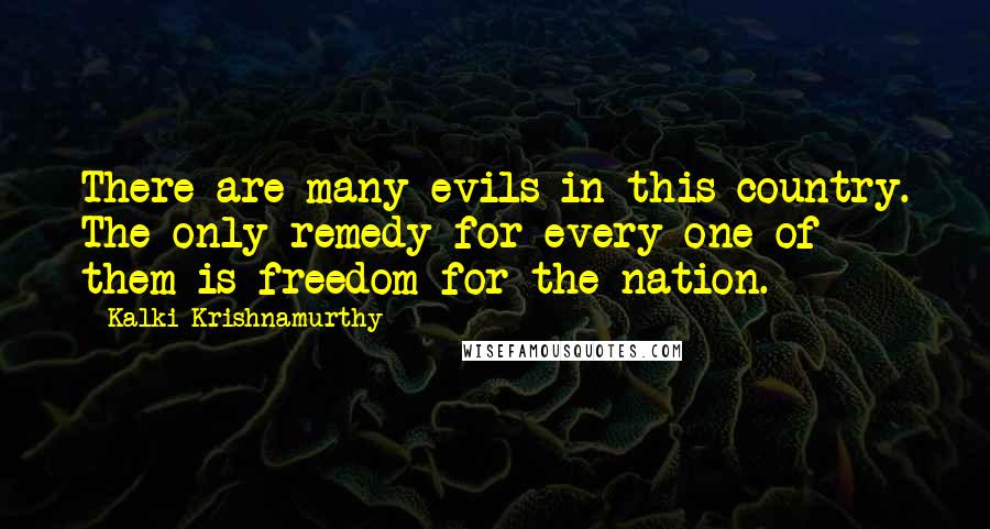 Kalki Krishnamurthy Quotes: There are many evils in this country. The only remedy for every one of them is freedom for the nation.