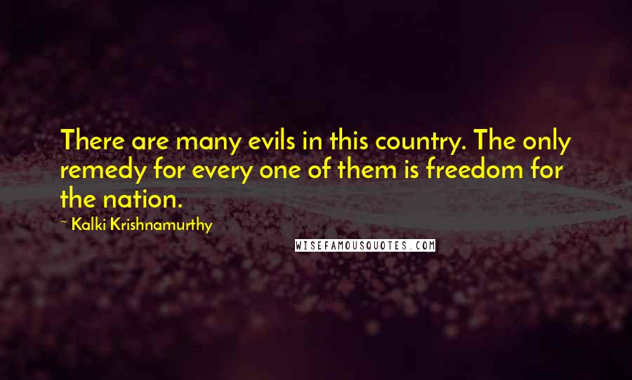 Kalki Krishnamurthy Quotes: There are many evils in this country. The only remedy for every one of them is freedom for the nation.