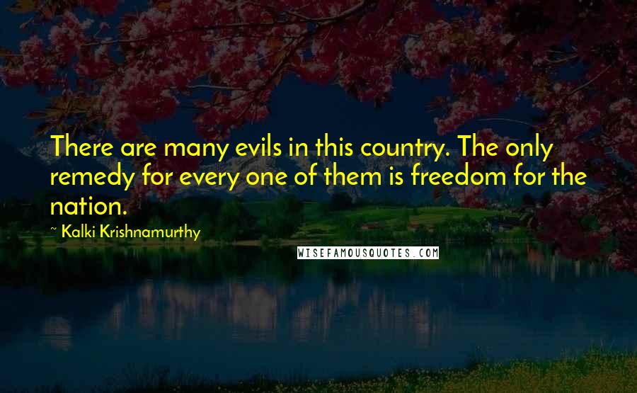 Kalki Krishnamurthy Quotes: There are many evils in this country. The only remedy for every one of them is freedom for the nation.