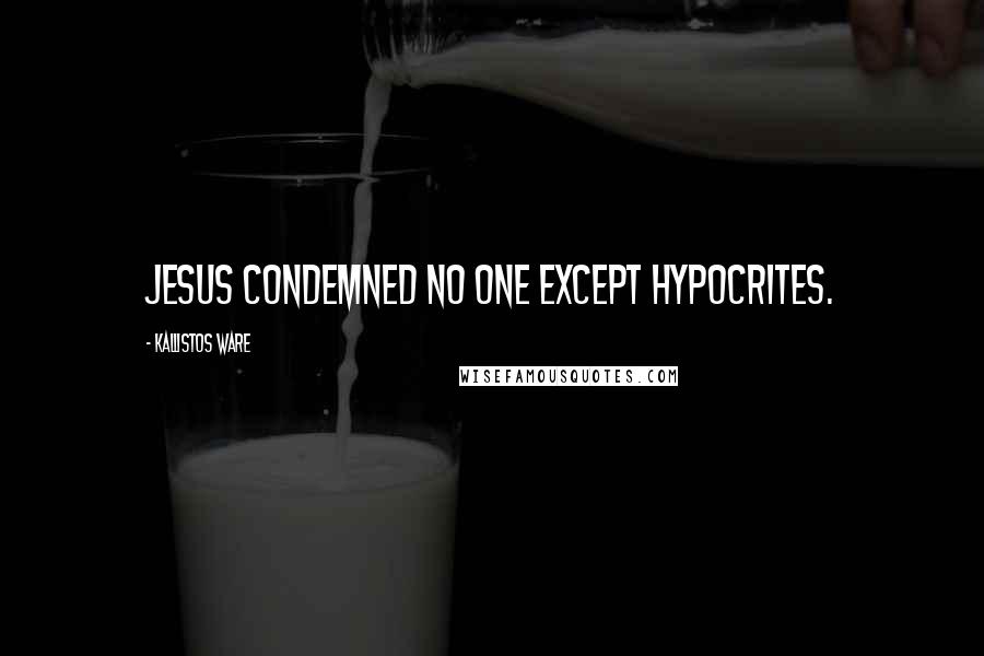 Kallistos Ware Quotes: Jesus condemned no one except hypocrites.