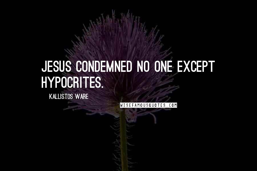 Kallistos Ware Quotes: Jesus condemned no one except hypocrites.