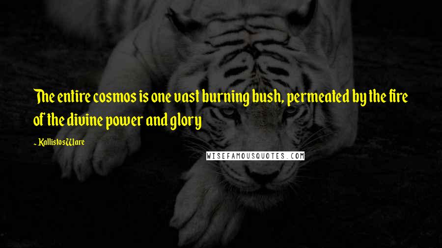 Kallistos Ware Quotes: The entire cosmos is one vast burning bush, permeated by the fire of the divine power and glory
