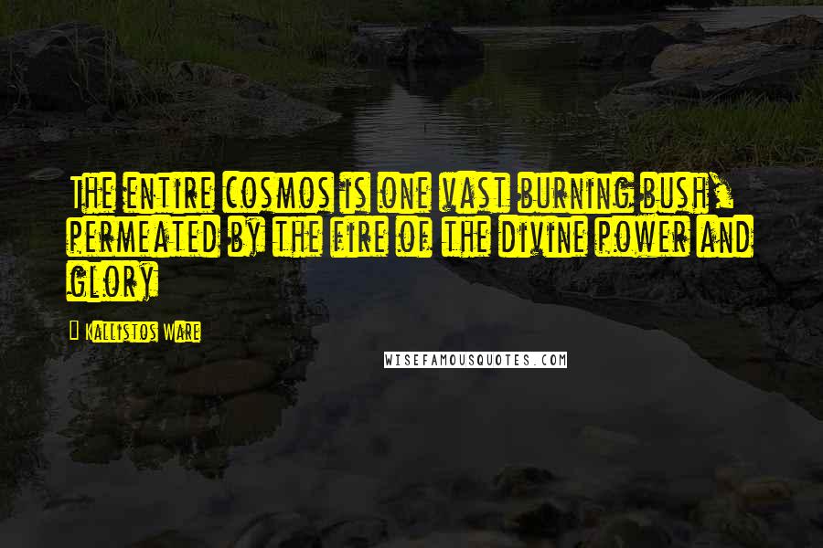 Kallistos Ware Quotes: The entire cosmos is one vast burning bush, permeated by the fire of the divine power and glory
