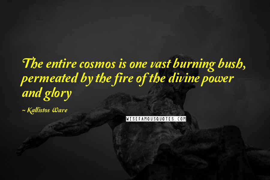 Kallistos Ware Quotes: The entire cosmos is one vast burning bush, permeated by the fire of the divine power and glory