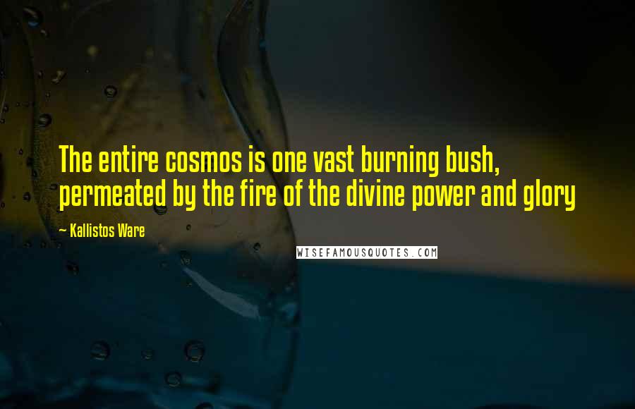 Kallistos Ware Quotes: The entire cosmos is one vast burning bush, permeated by the fire of the divine power and glory