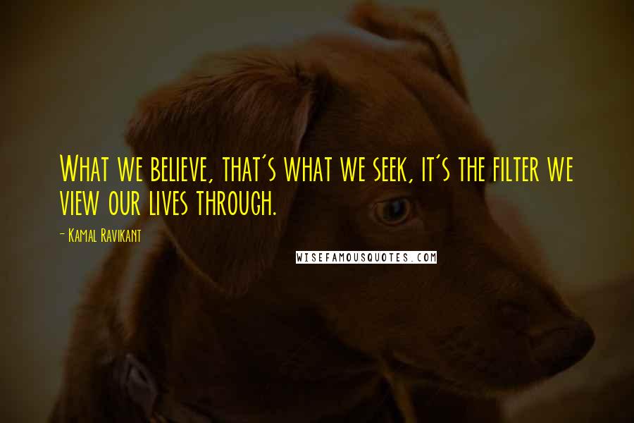 Kamal Ravikant Quotes: What we believe, that's what we seek, it's the filter we view our lives through.