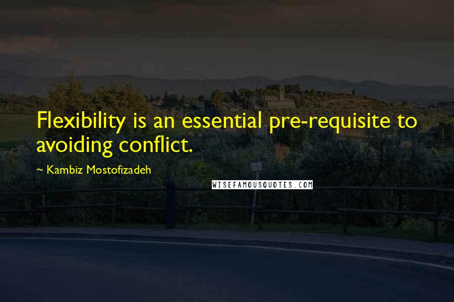 Kambiz Mostofizadeh Quotes: Flexibility is an essential pre-requisite to avoiding conflict.