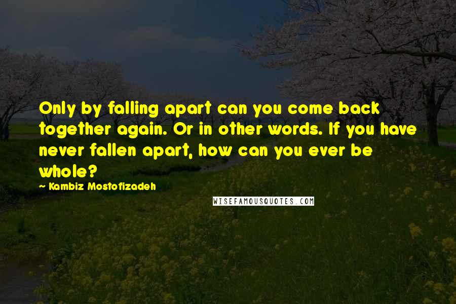 Kambiz Mostofizadeh Quotes: Only by falling apart can you come back together again. Or in other words. If you have never fallen apart, how can you ever be whole?