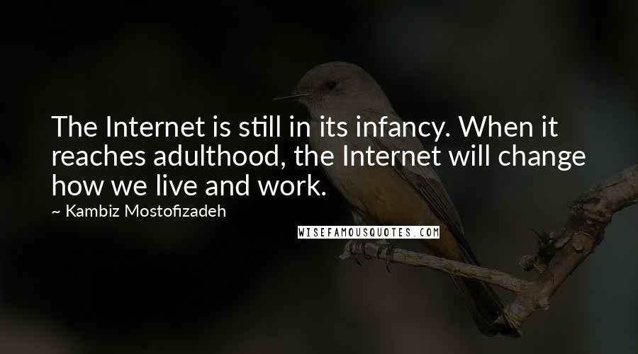 Kambiz Mostofizadeh Quotes: The Internet is still in its infancy. When it reaches adulthood, the Internet will change how we live and work.