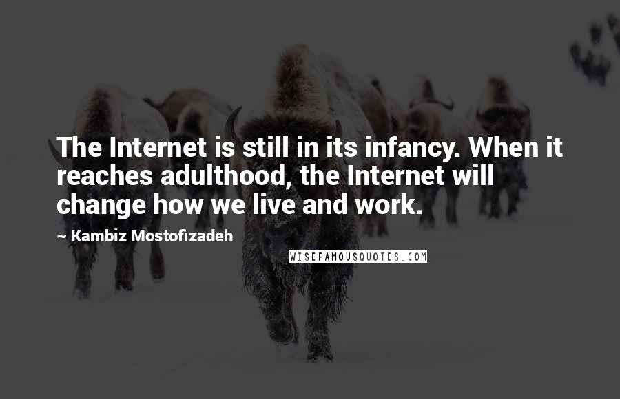 Kambiz Mostofizadeh Quotes: The Internet is still in its infancy. When it reaches adulthood, the Internet will change how we live and work.