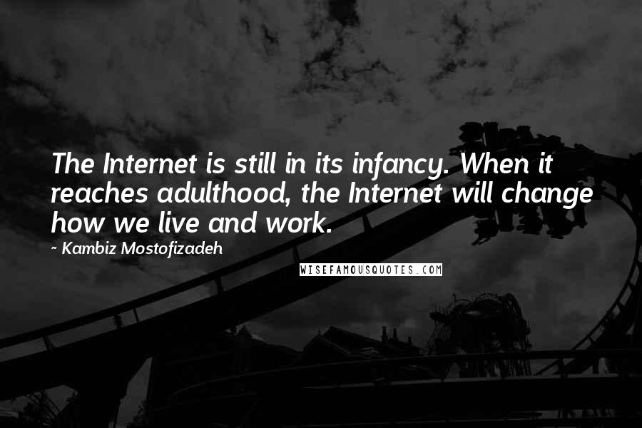 Kambiz Mostofizadeh Quotes: The Internet is still in its infancy. When it reaches adulthood, the Internet will change how we live and work.