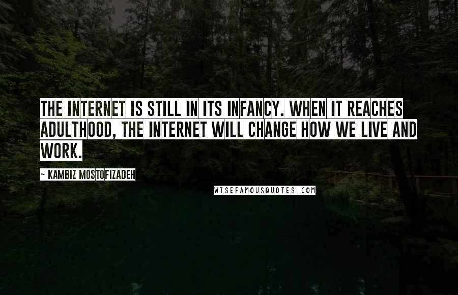 Kambiz Mostofizadeh Quotes: The Internet is still in its infancy. When it reaches adulthood, the Internet will change how we live and work.