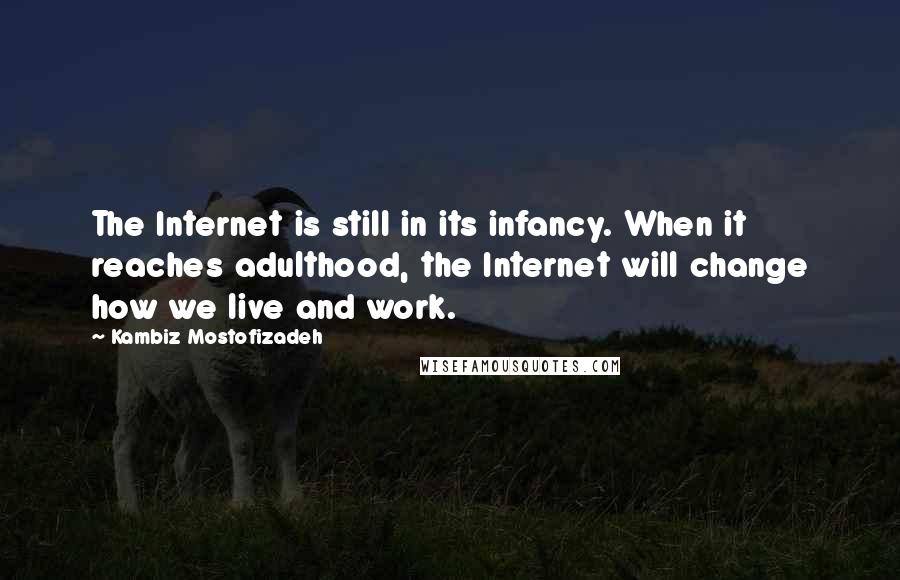 Kambiz Mostofizadeh Quotes: The Internet is still in its infancy. When it reaches adulthood, the Internet will change how we live and work.