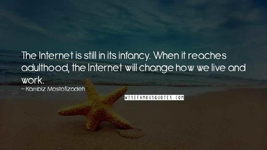 Kambiz Mostofizadeh Quotes: The Internet is still in its infancy. When it reaches adulthood, the Internet will change how we live and work.