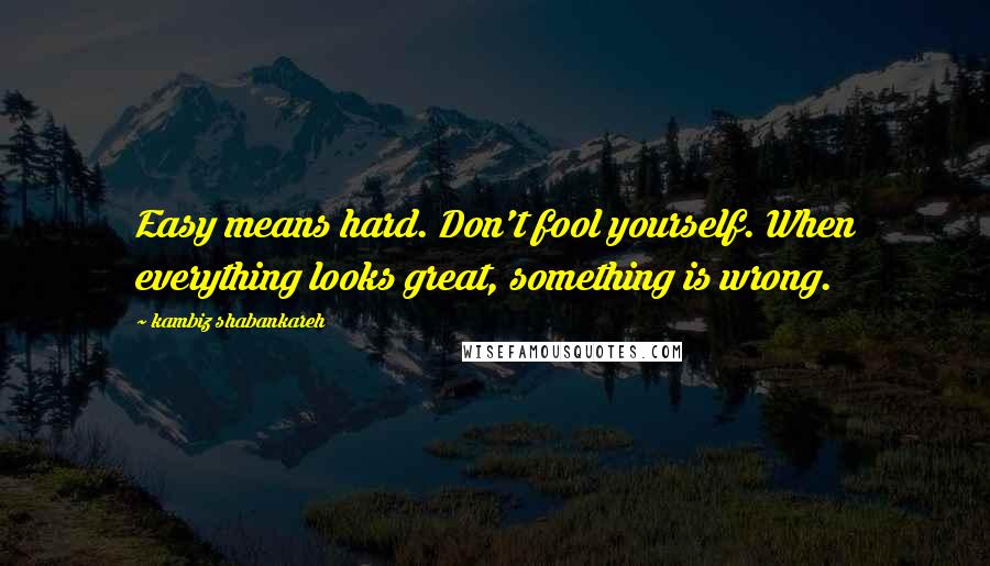 Kambiz Shabankareh Quotes: Easy means hard. Don't fool yourself. When everything looks great, something is wrong.