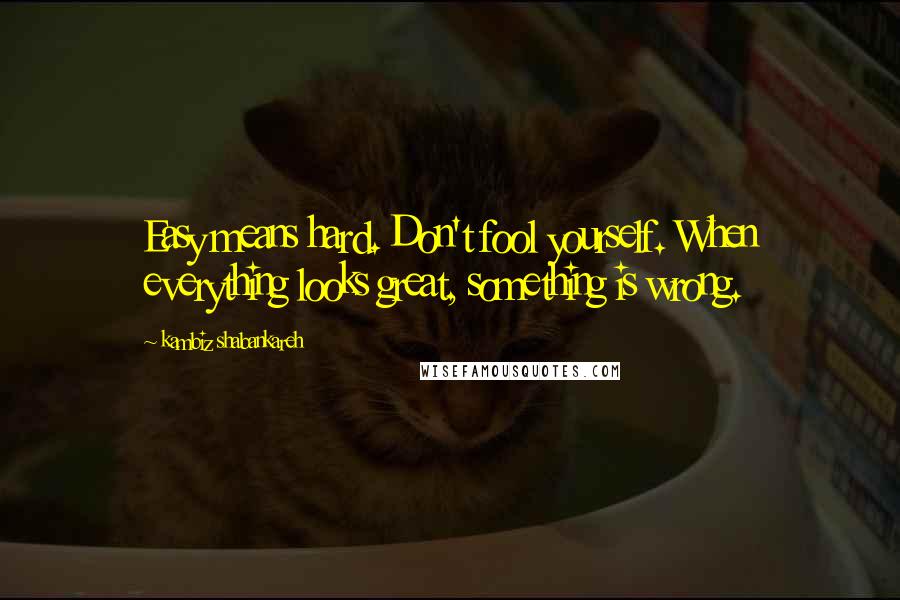 Kambiz Shabankareh Quotes: Easy means hard. Don't fool yourself. When everything looks great, something is wrong.