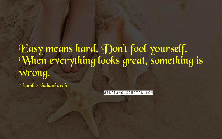 Kambiz Shabankareh Quotes: Easy means hard. Don't fool yourself. When everything looks great, something is wrong.