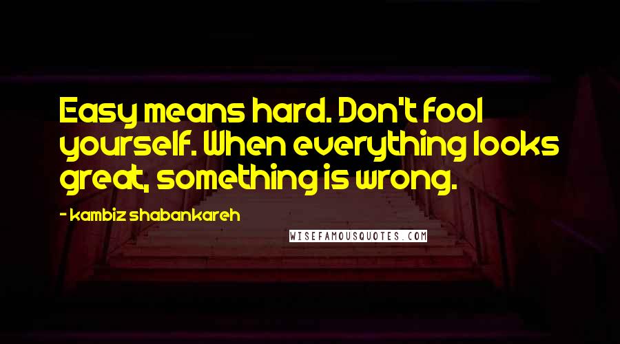 Kambiz Shabankareh Quotes: Easy means hard. Don't fool yourself. When everything looks great, something is wrong.