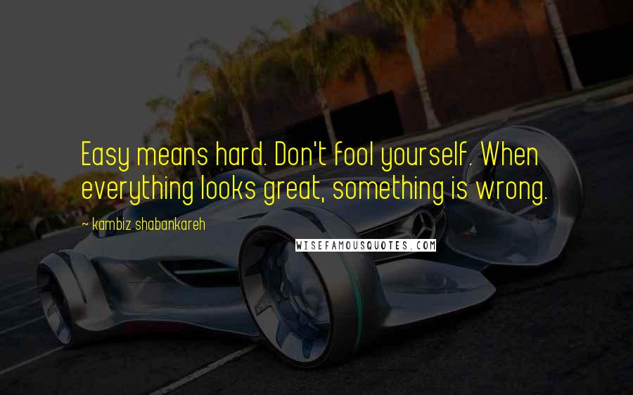 Kambiz Shabankareh Quotes: Easy means hard. Don't fool yourself. When everything looks great, something is wrong.