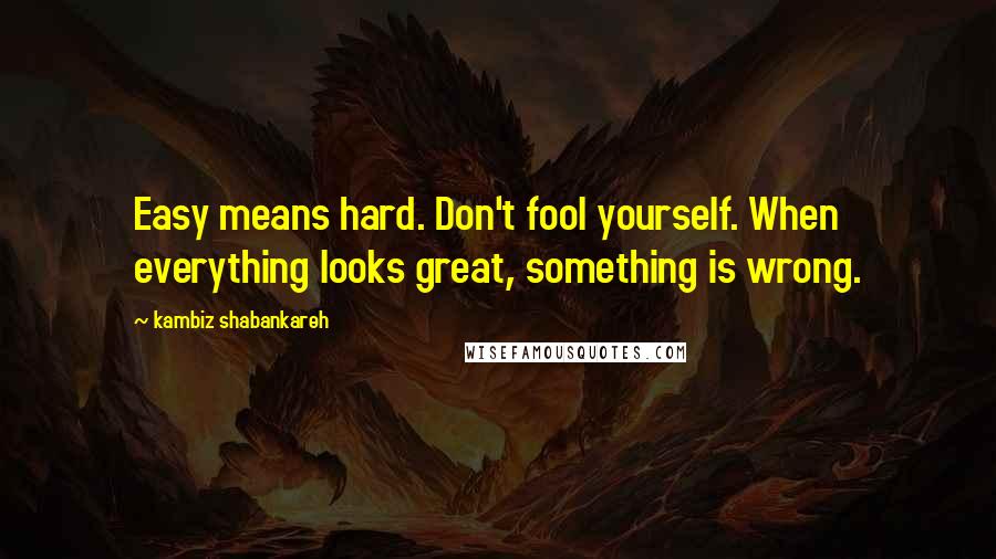 Kambiz Shabankareh Quotes: Easy means hard. Don't fool yourself. When everything looks great, something is wrong.