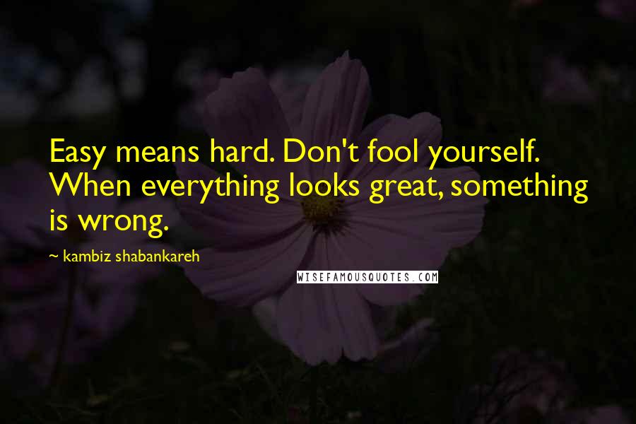 Kambiz Shabankareh Quotes: Easy means hard. Don't fool yourself. When everything looks great, something is wrong.