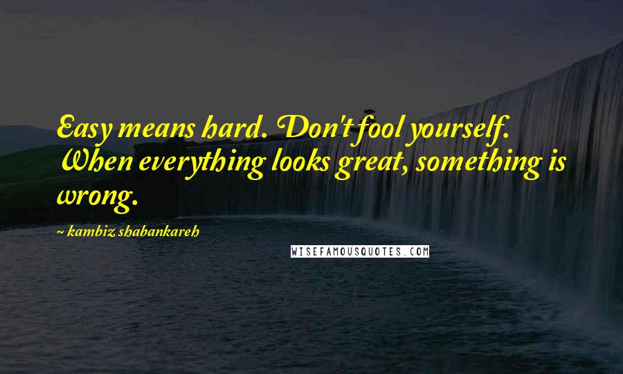 Kambiz Shabankareh Quotes: Easy means hard. Don't fool yourself. When everything looks great, something is wrong.