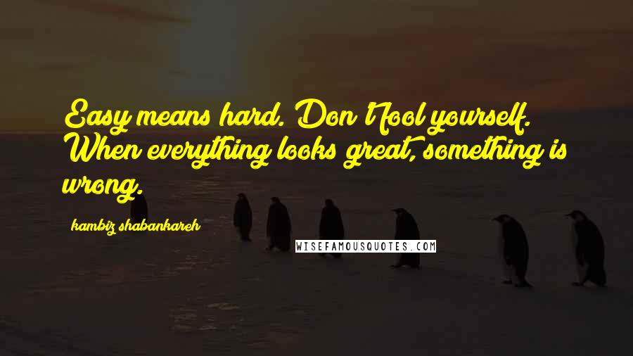 Kambiz Shabankareh Quotes: Easy means hard. Don't fool yourself. When everything looks great, something is wrong.