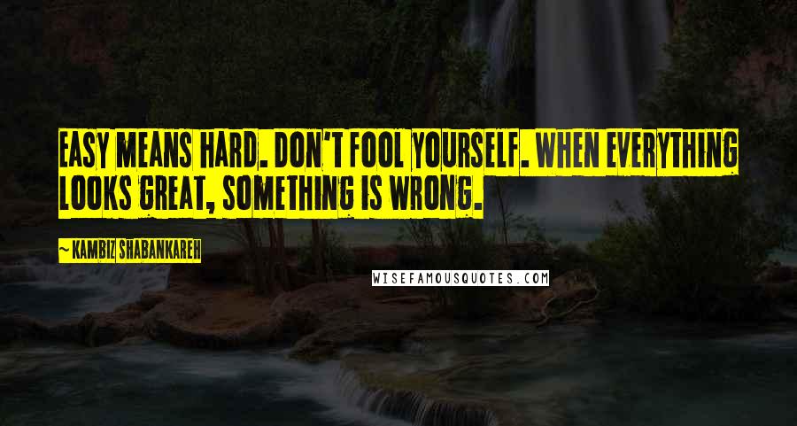 Kambiz Shabankareh Quotes: Easy means hard. Don't fool yourself. When everything looks great, something is wrong.