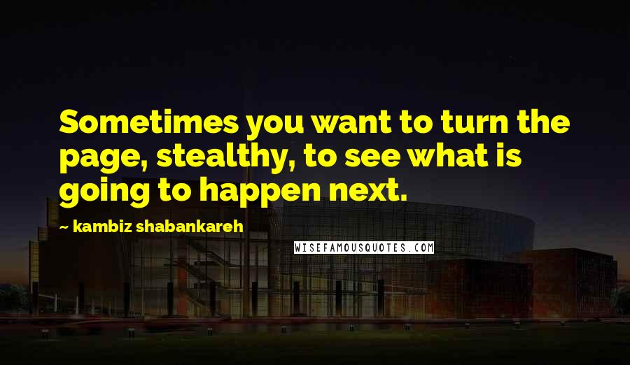 Kambiz Shabankareh Quotes: Sometimes you want to turn the page, stealthy, to see what is going to happen next.