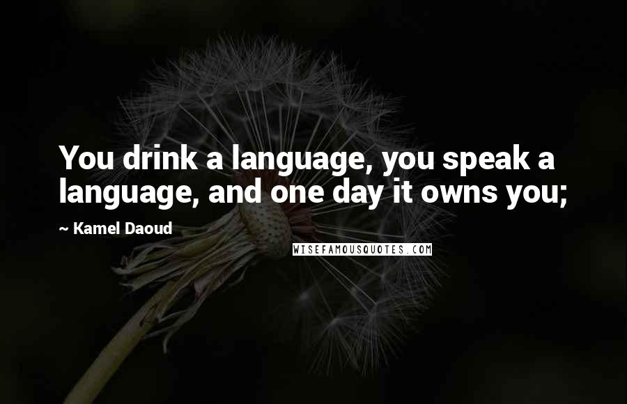 Kamel Daoud Quotes: You drink a language, you speak a language, and one day it owns you;