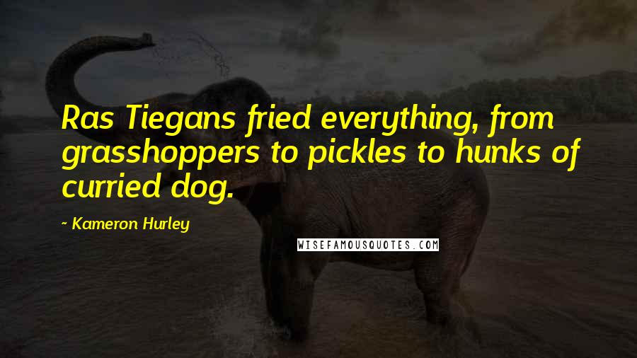 Kameron Hurley Quotes: Ras Tiegans fried everything, from grasshoppers to pickles to hunks of curried dog.