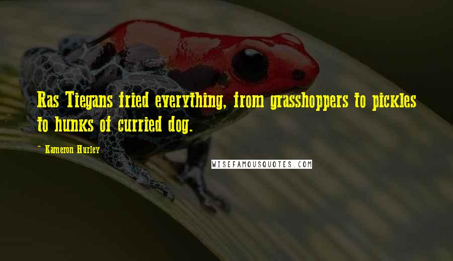 Kameron Hurley Quotes: Ras Tiegans fried everything, from grasshoppers to pickles to hunks of curried dog.