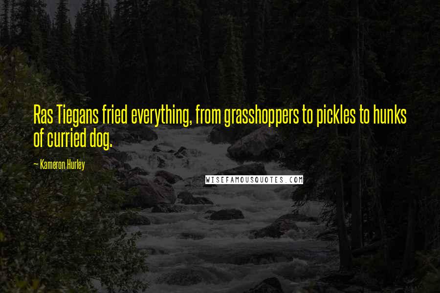 Kameron Hurley Quotes: Ras Tiegans fried everything, from grasshoppers to pickles to hunks of curried dog.