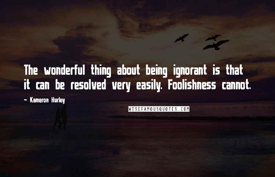 Kameron Hurley Quotes: The wonderful thing about being ignorant is that it can be resolved very easily. Foolishness cannot.