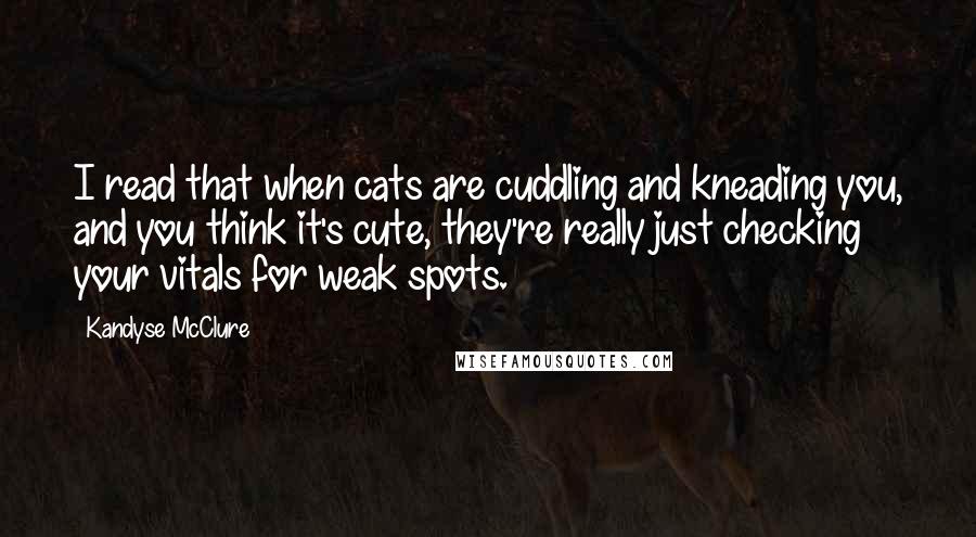 Kandyse McClure Quotes: I read that when cats are cuddling and kneading you, and you think it's cute, they're really just checking your vitals for weak spots.