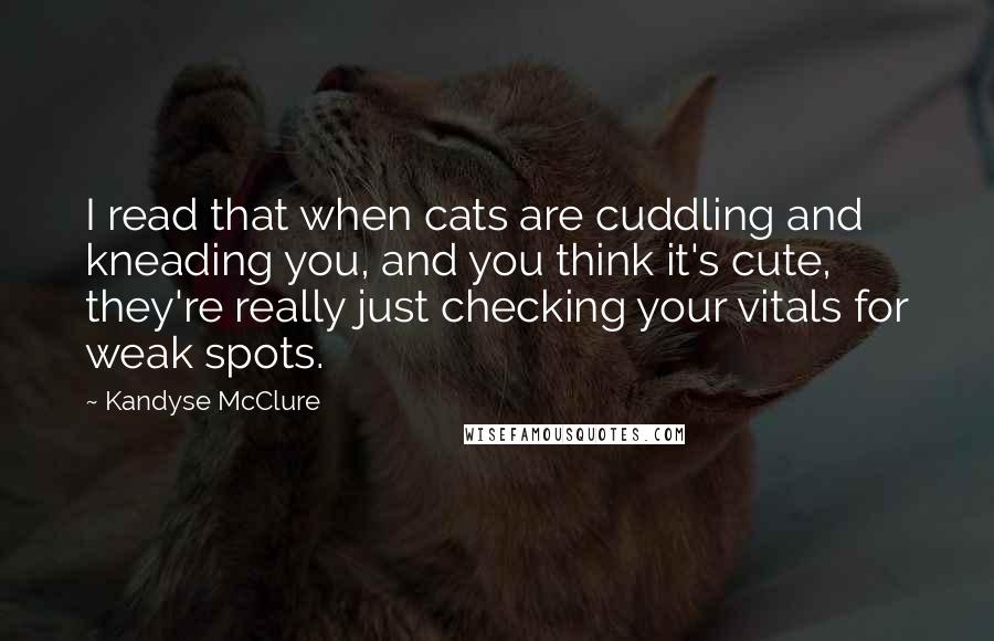 Kandyse McClure Quotes: I read that when cats are cuddling and kneading you, and you think it's cute, they're really just checking your vitals for weak spots.