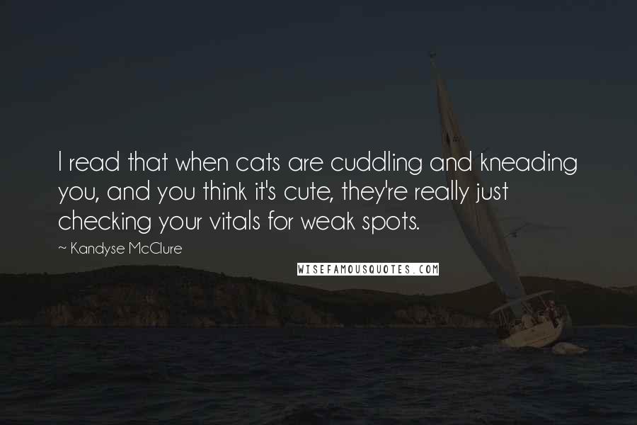 Kandyse McClure Quotes: I read that when cats are cuddling and kneading you, and you think it's cute, they're really just checking your vitals for weak spots.